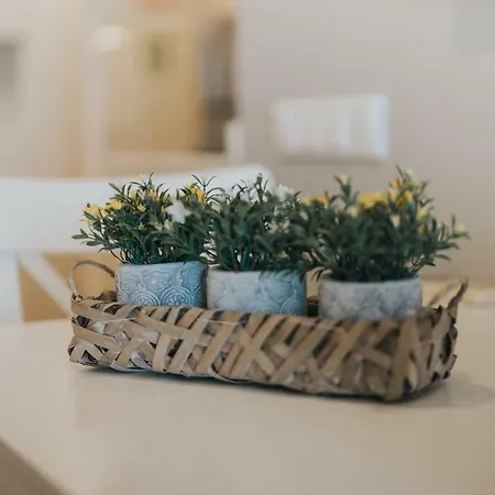 Marina By Madeira 公寓 丰沙尔