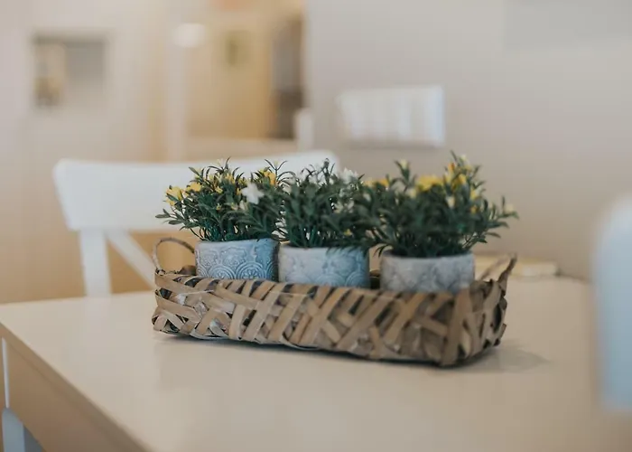 Marina By Madeira Daire Funchal